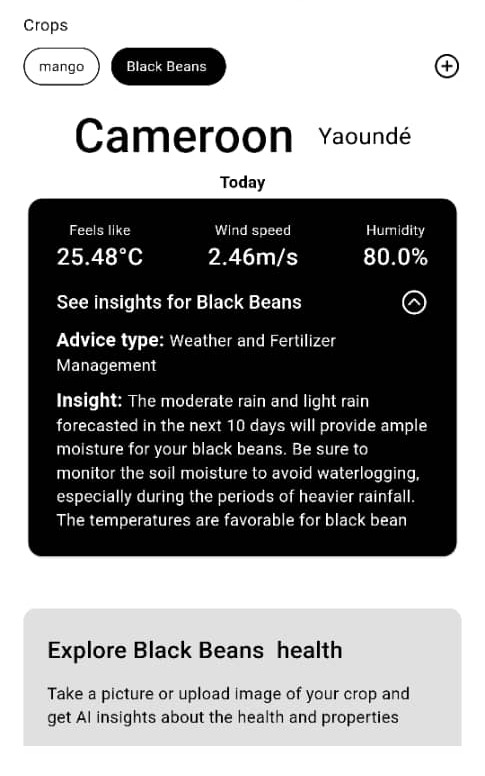 Weather Forecase